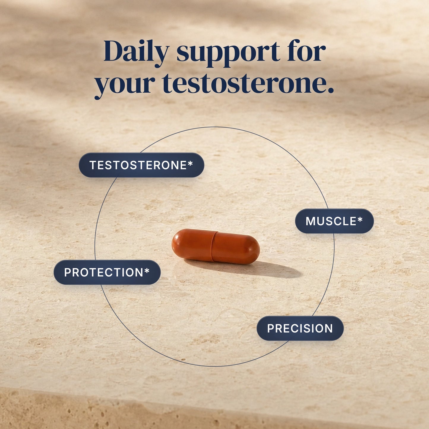 [en] Alpha Peak T1x capsule on stone with benefit callouts: testosterone, muscle, protection, precision. Daily support for your testosterone.